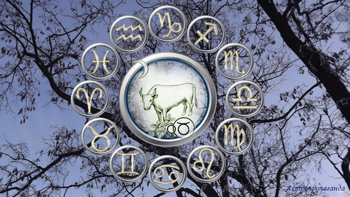 Гороскоп для Тельца со 2 февраля по 1 марта 2026.