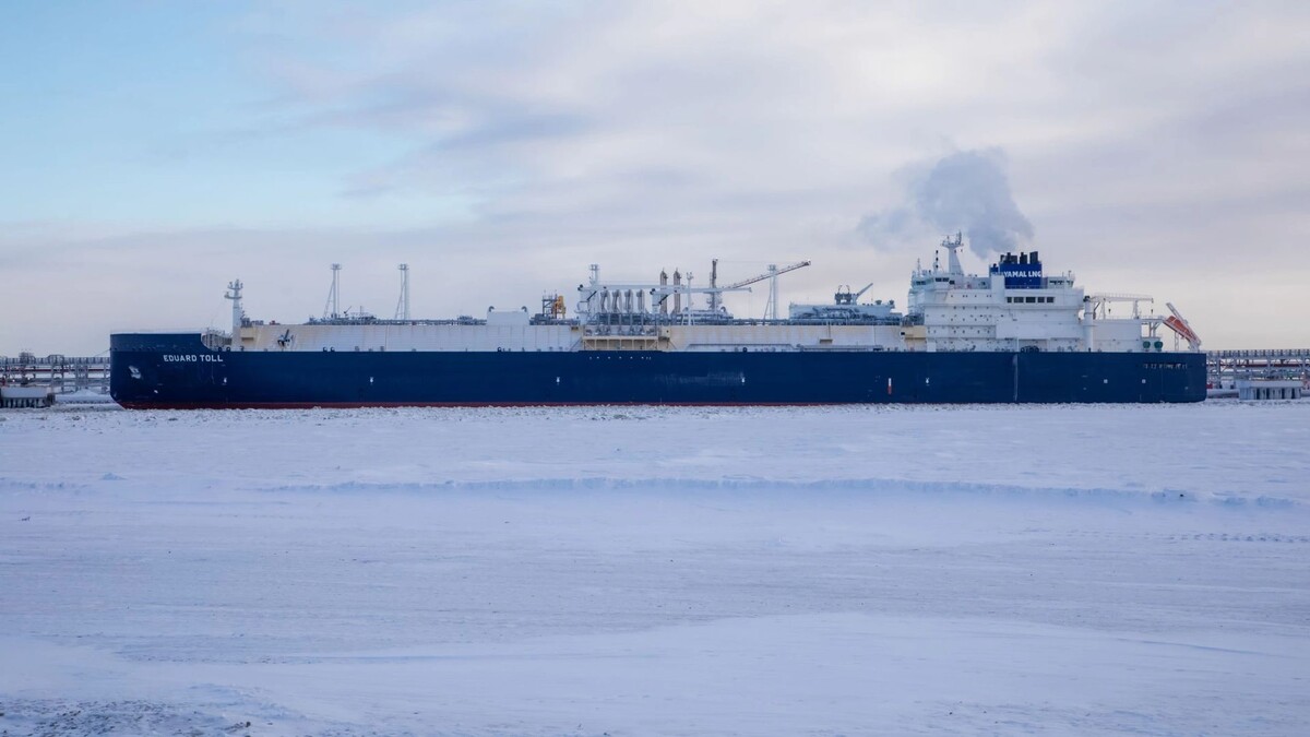    Фото: Андрей Ткачев / «Ямал-Медиа»