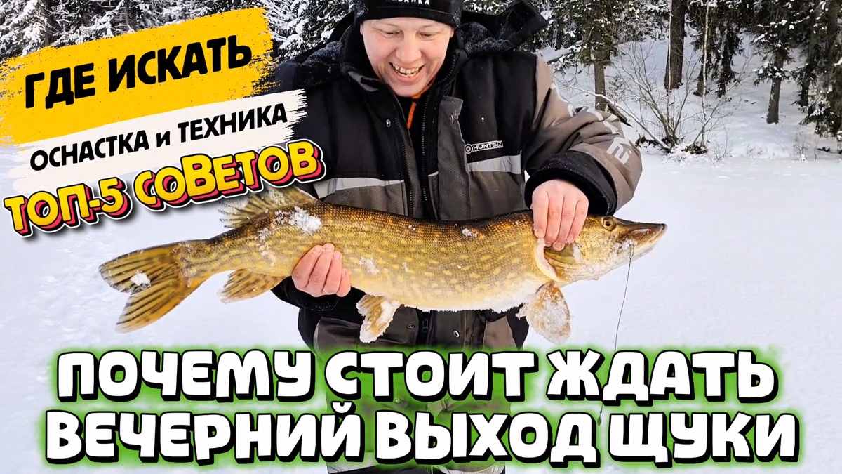Почему стоит ждать вечерний выход щуки. #трофейнаярыбалка