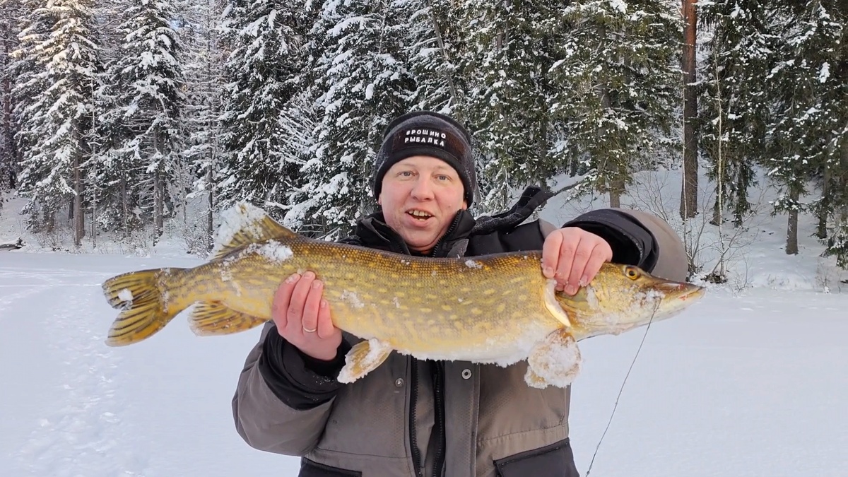 Щука поймана под конец рыбалки. Вышла перед закатом солнца.
