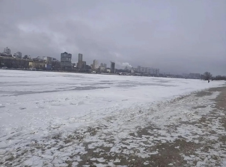    Фото ТГ-канала ГУ МВД России по РО Редактор