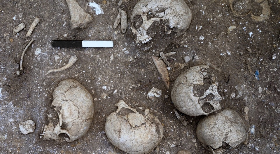   University of Cambridge