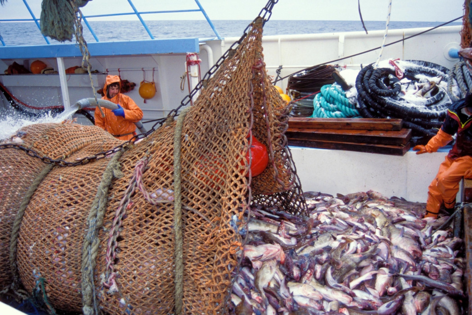    Steven J. Kazlowski/Steve Kazlowski / DanitaDelimont/Global Look Press