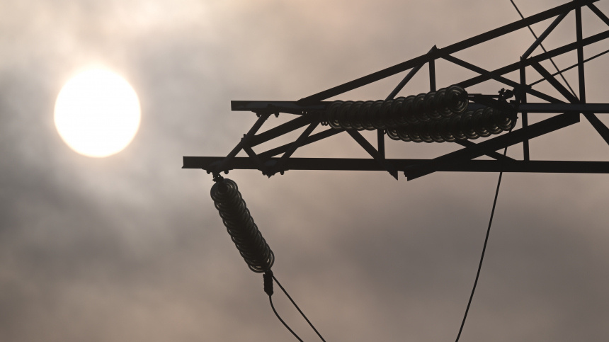    Фото: © РИА Новости/Кирилл Каллиников