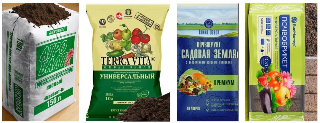 Грунт для рассады: как купить хорошую «землю» и не погубить растишки в самом начале