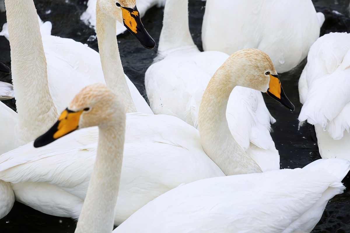 Фото: Екатерина Смолихина / amic.ru