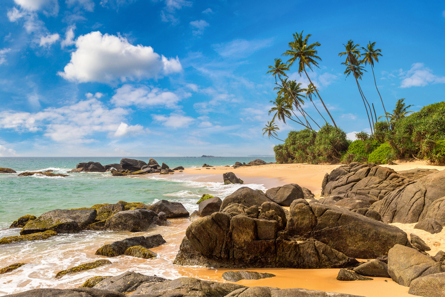 Фото Яндекс Картинки