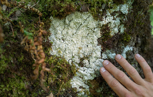 Carl Court/Getty Images
