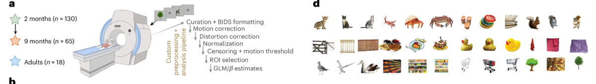 Схема исследования и предъявляемые визуальные стимулы