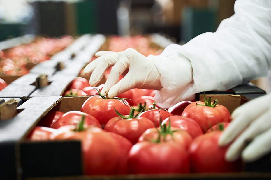    Shutterstock/FOTODOM