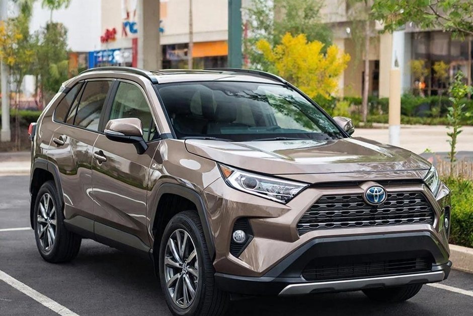   сгенерировано при помощи нейросети «Шедеврум»