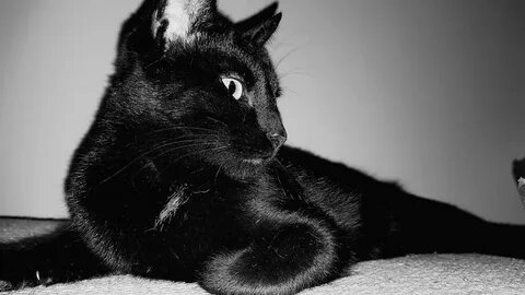 Картинка из интернета.