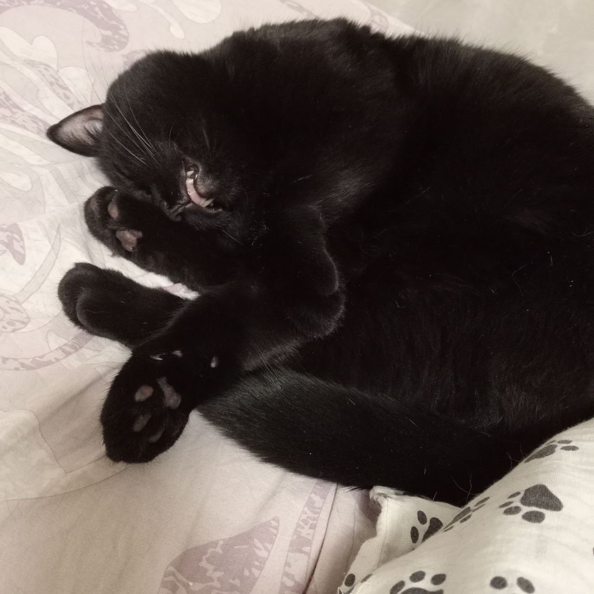 Стасик очень устал.