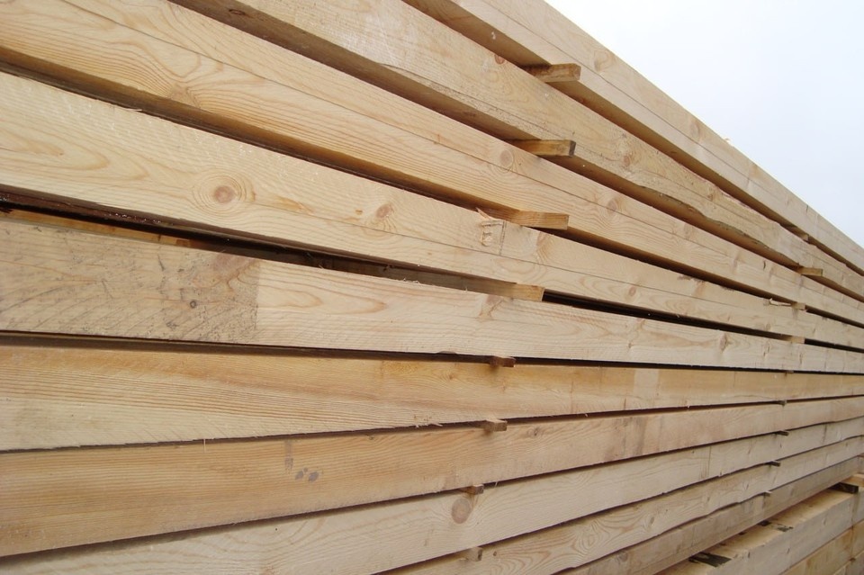    Фото: Управление Россельхознадзора по Красноярскому краю