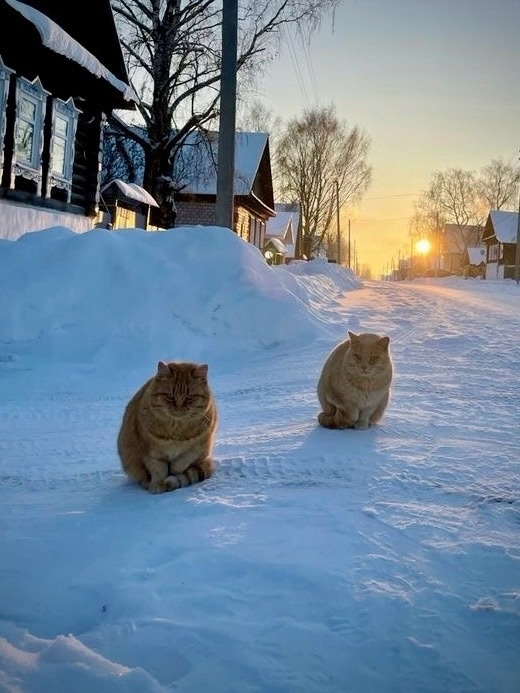 иллюстрация из яндекс картинки.