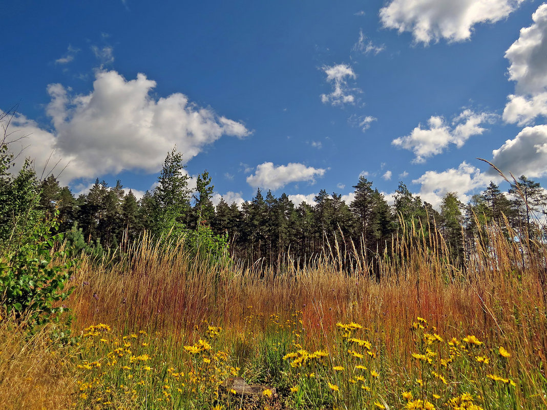Картинка из интернета.