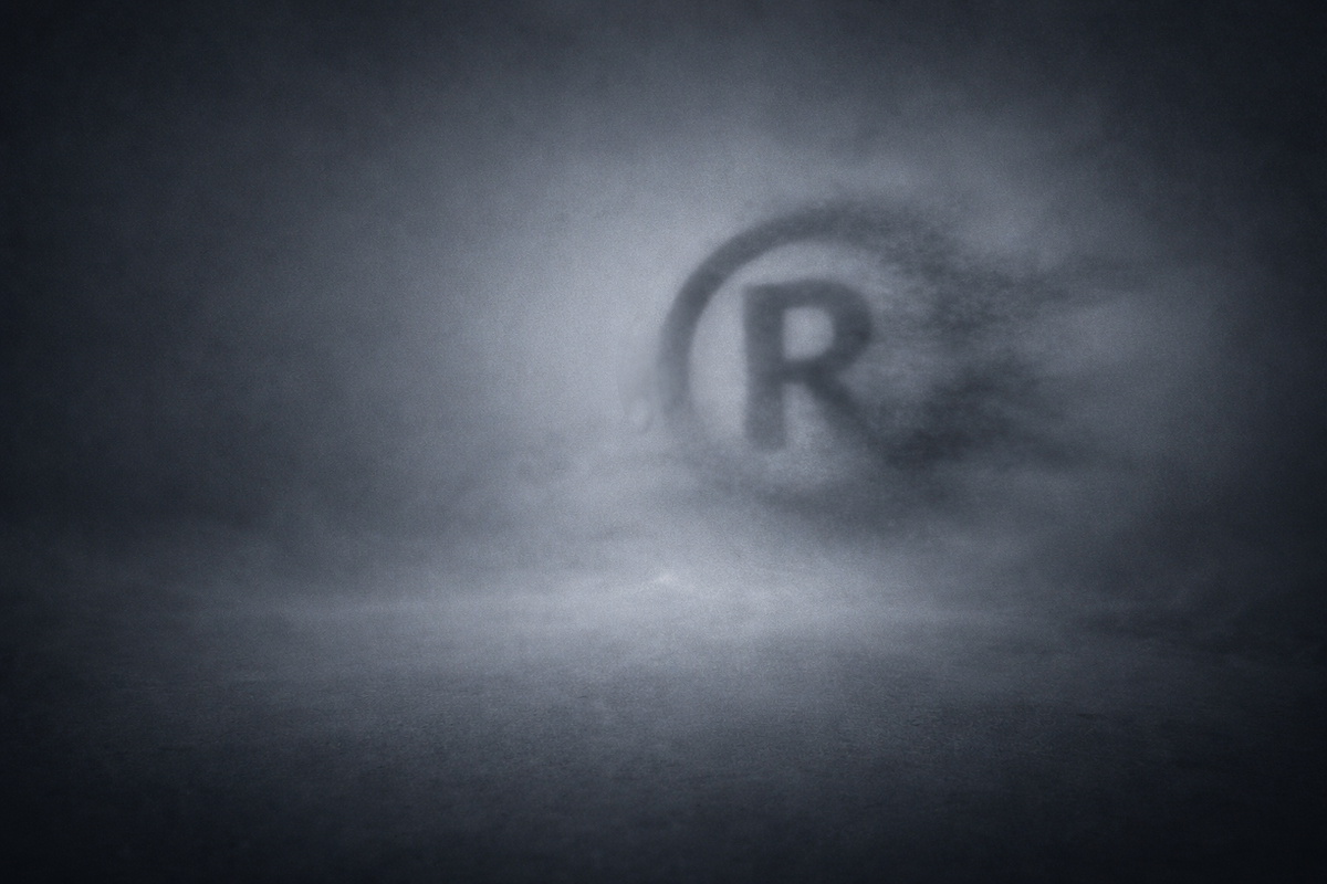 Пока товарный знак не зарегистрирован в Роспатенте, это не ваш товарный знак.