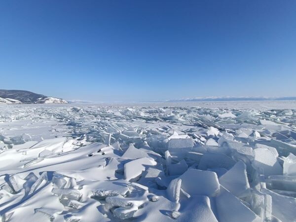 Все оттенки белого