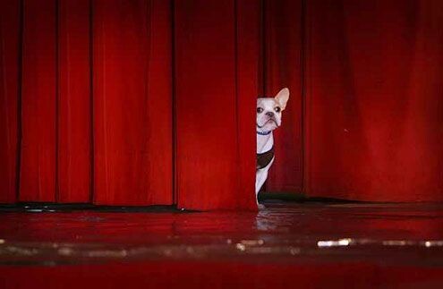 Картинка с просторов интернета. На авторство не претендую. 