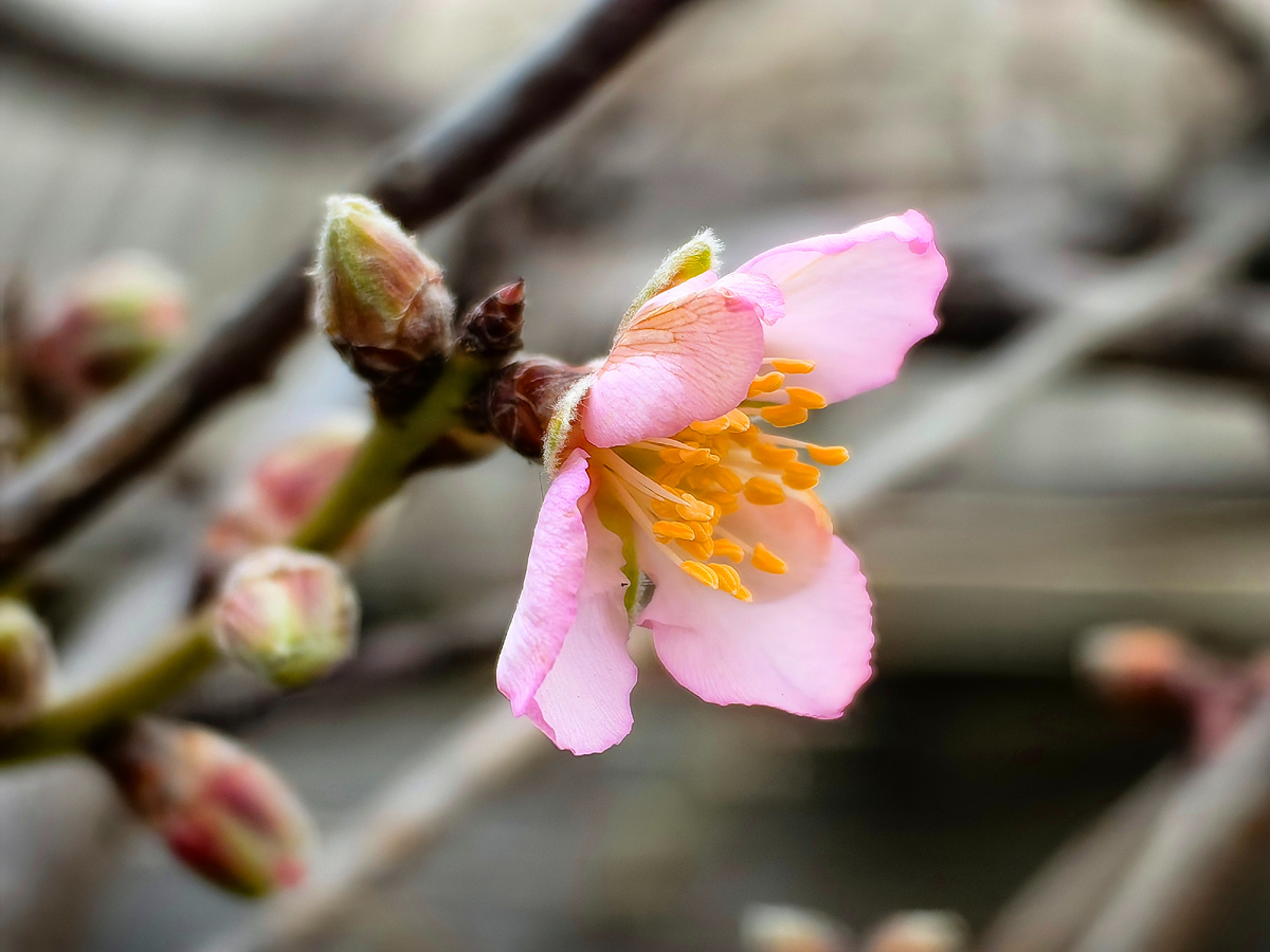 Сегодня. Фото автора канала