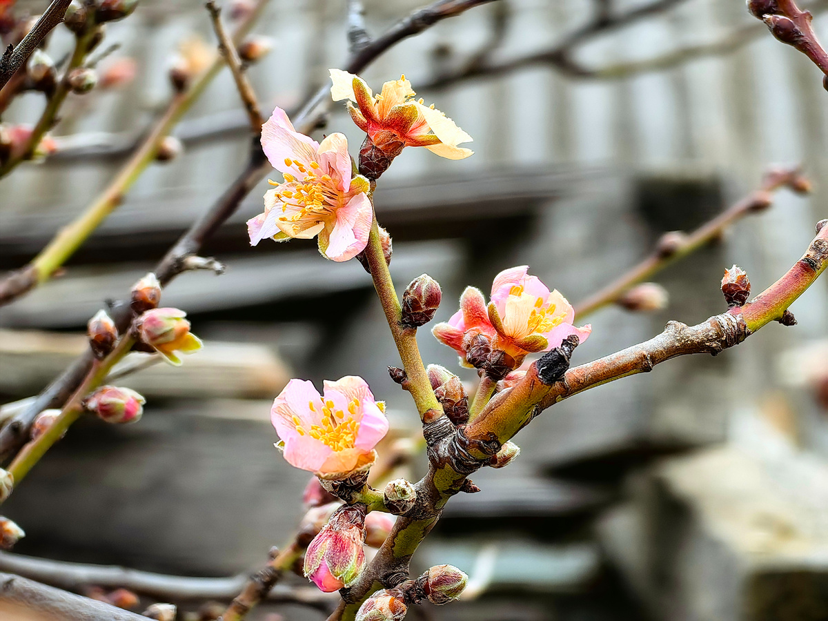 Сегодня. Фото автора канала