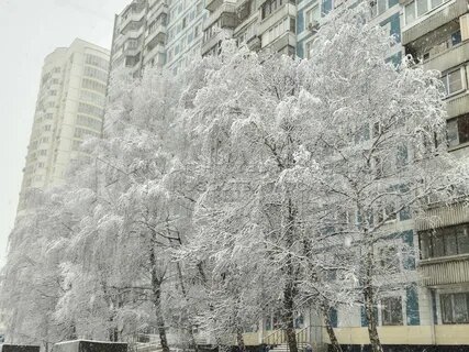 Картинка с интернета.