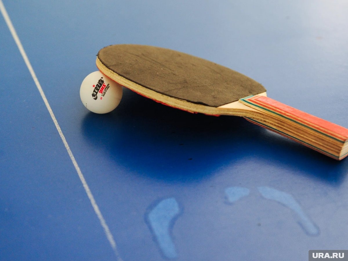     В клубе занимаются как взрослые, так и дети