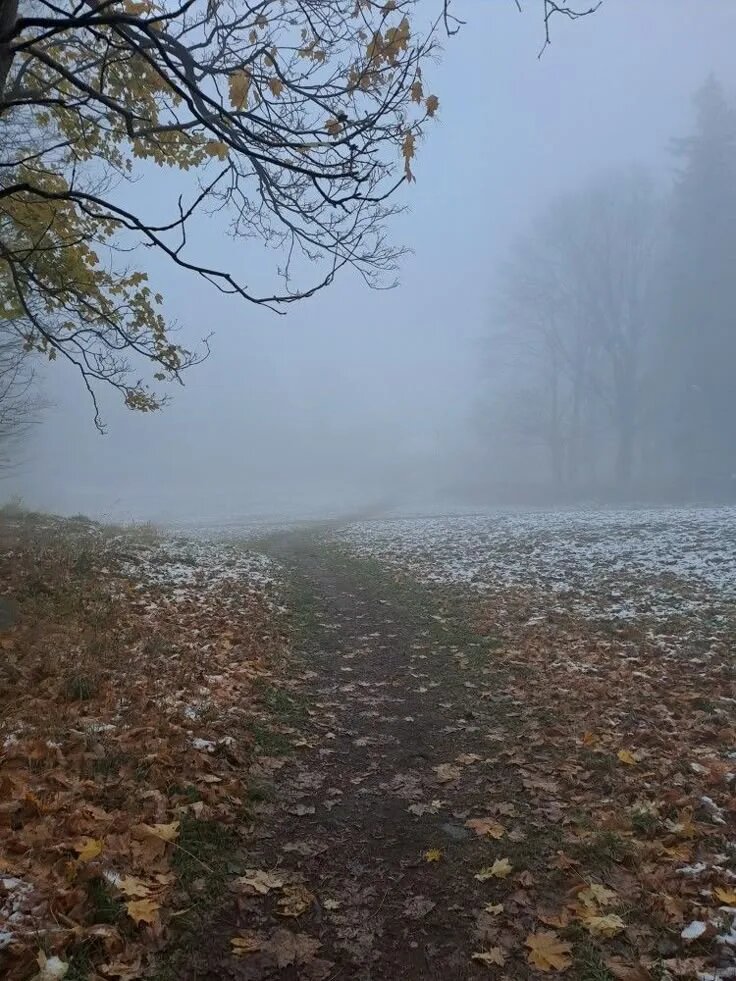 картинка с интернета.