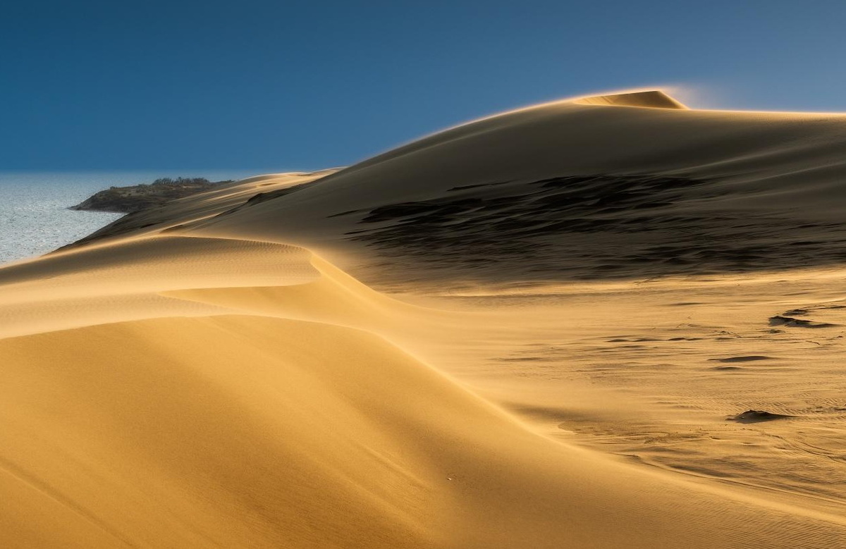 Дюны Куршской косы.