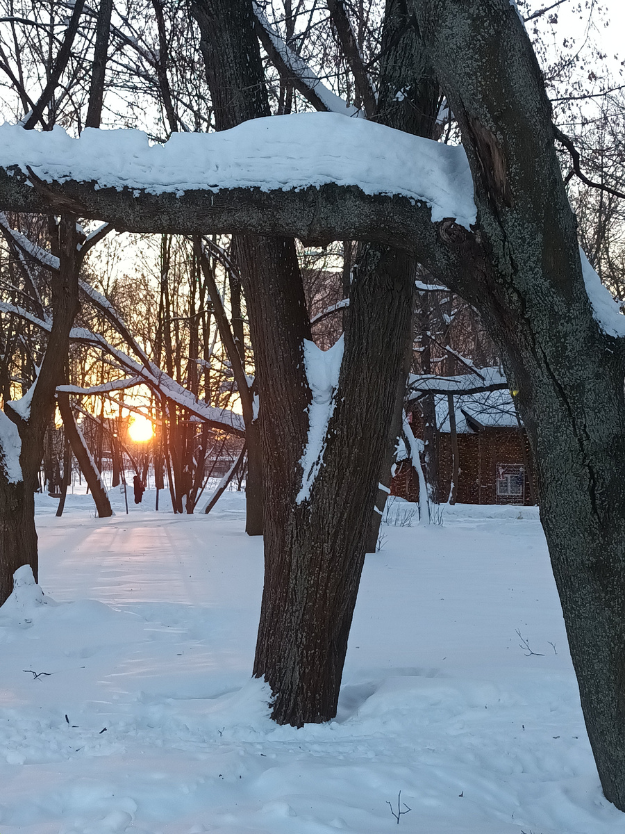 Зимний парк 