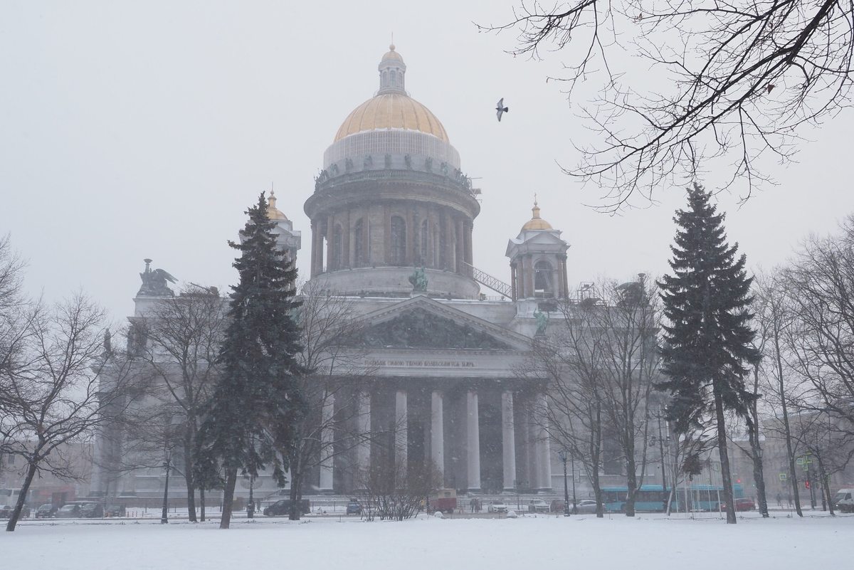 Олег Золото/«Вечерний Санкт-Петербург»