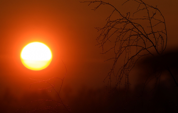 Владимир Смирнов/ТАСС