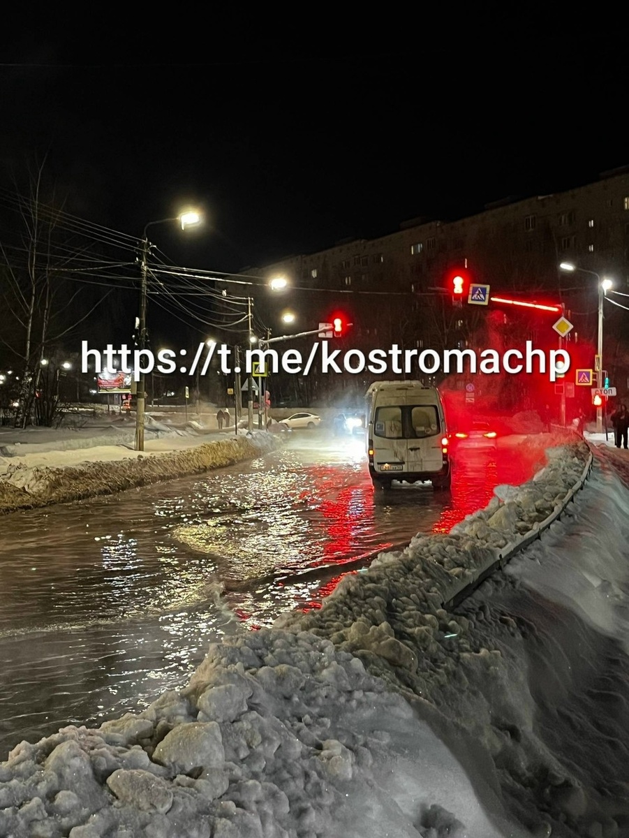    Фото: t.me/kostromachp