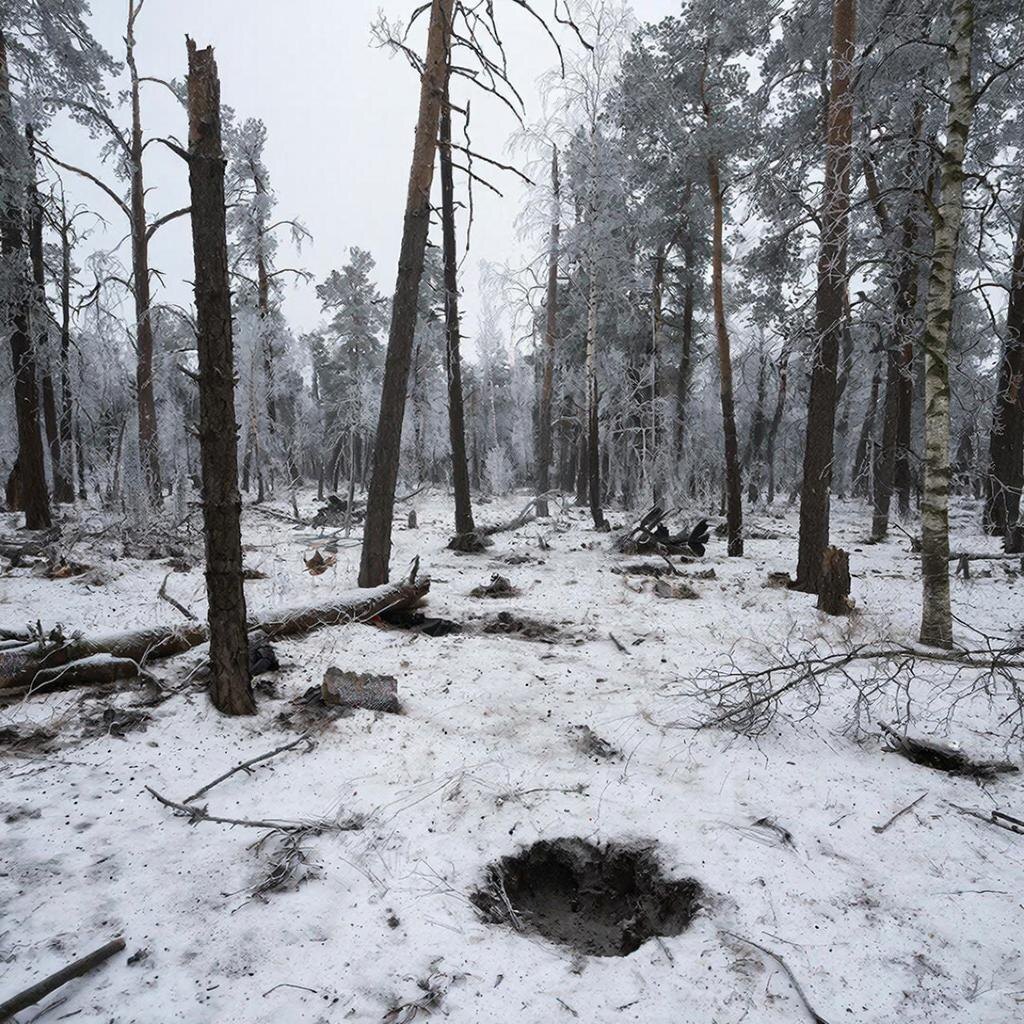 Изображение сгенерировано ИИ 