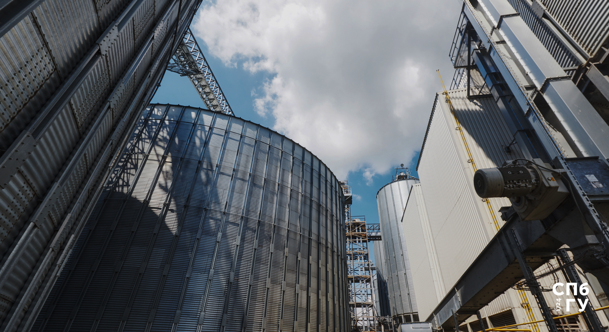 Источник: Freepik