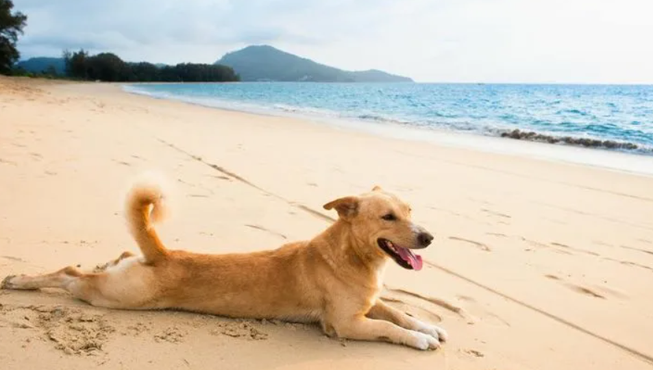 Постоянно работаю. Где взять время на жизнь (хватит про Ладу Гранту)