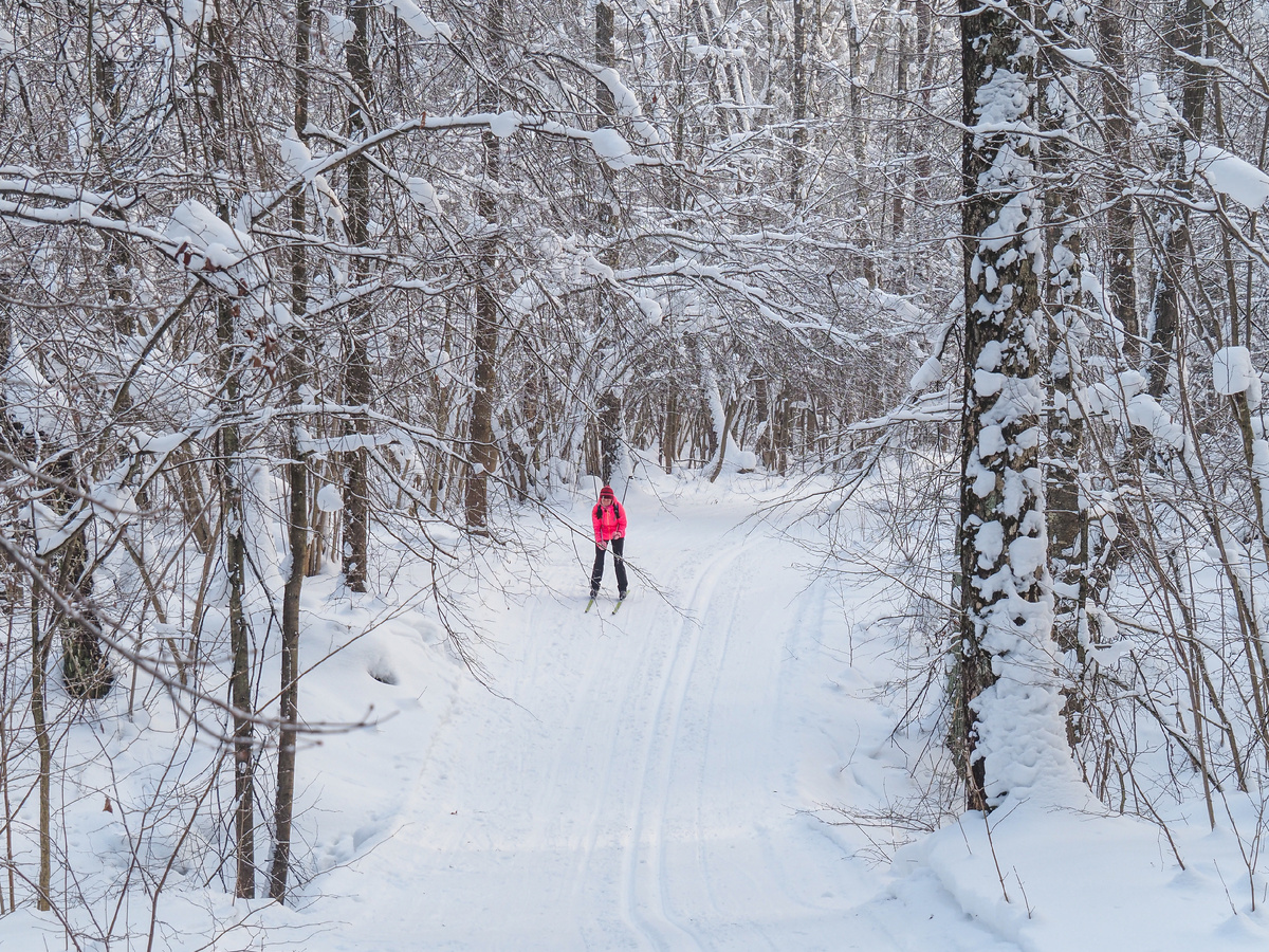 фото Павел Каманин