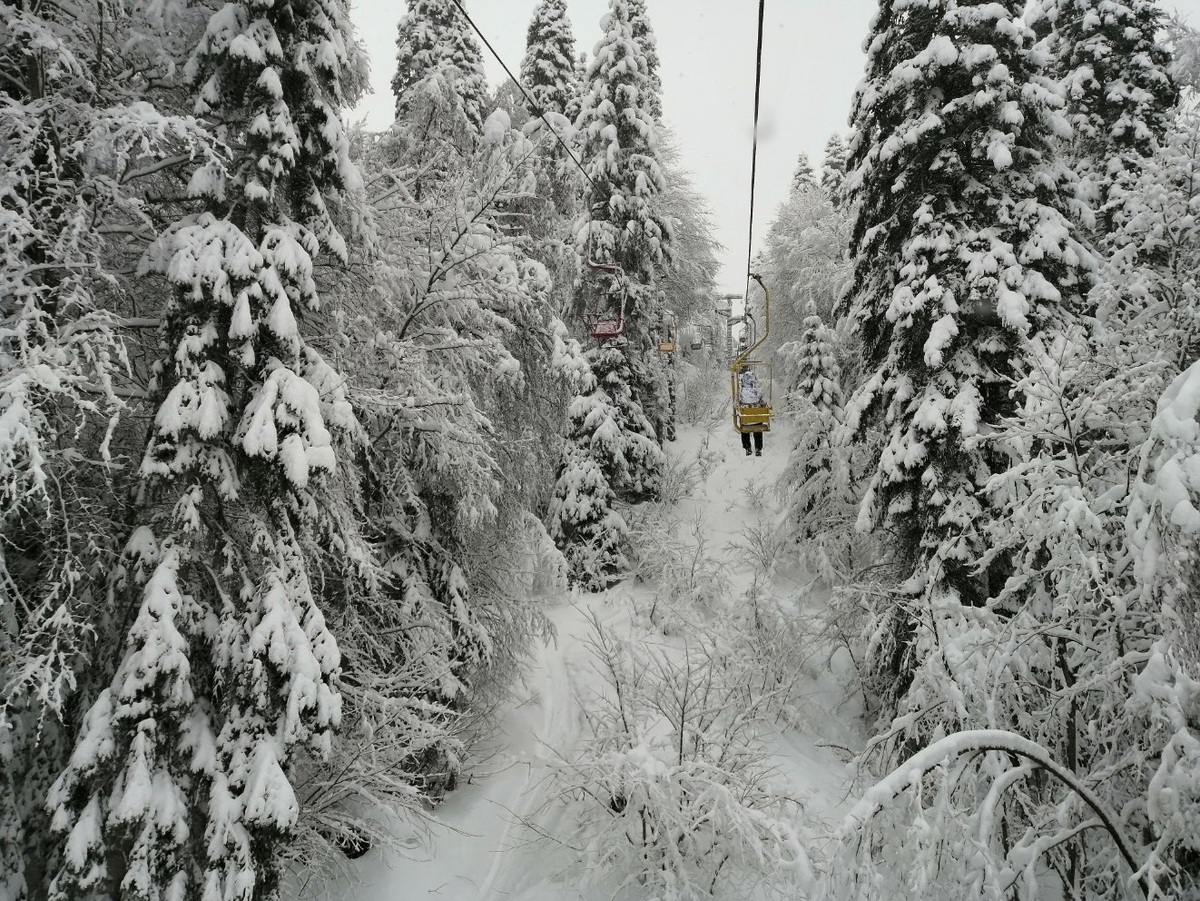 Домбай. 2020 г. 