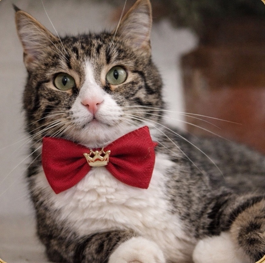 Директор как он есть