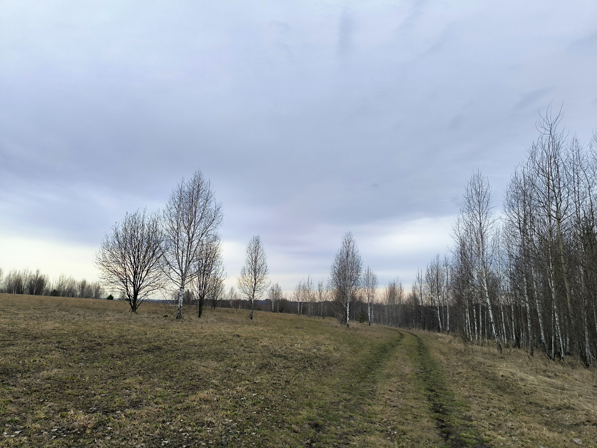 Зелень только начинает проглядывать