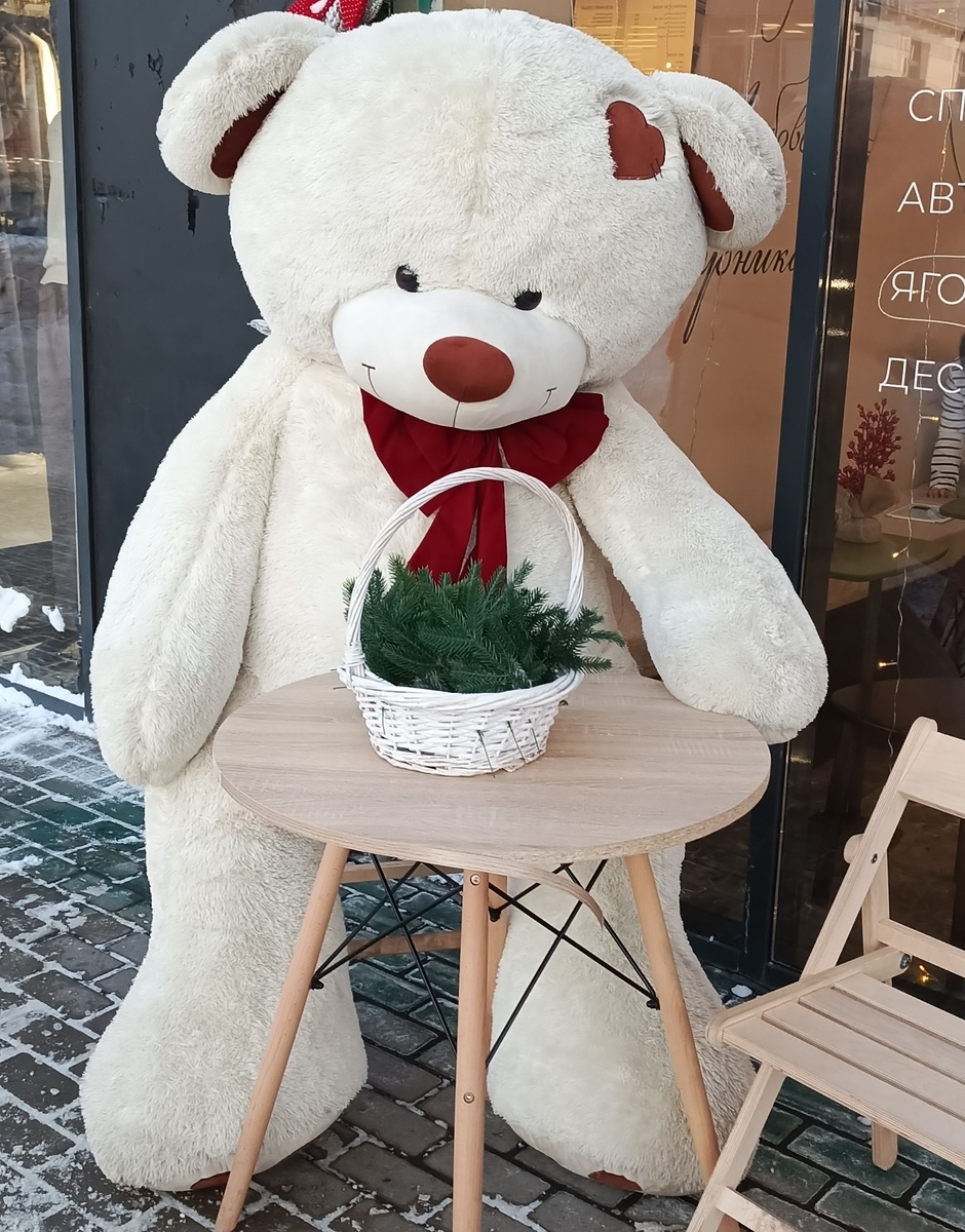 Фото автора статьи. Шла мимо стоит такая красота.