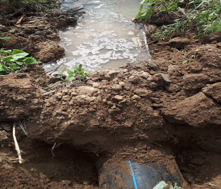 Фото: Нижне-Волжское управление Росприроднадзора