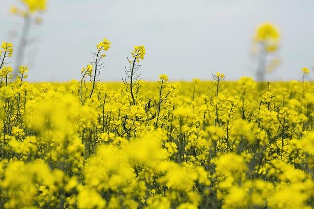 Фото: freepik.com 