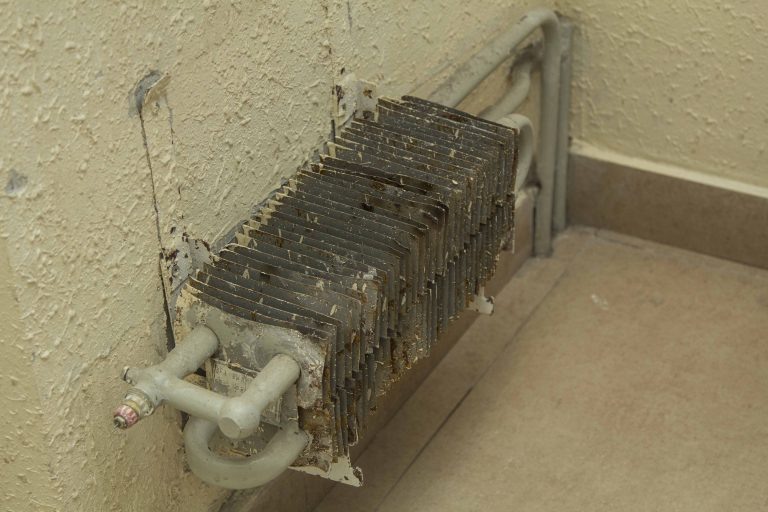    Фото: Общественная служба новостей Зоя Шпанько