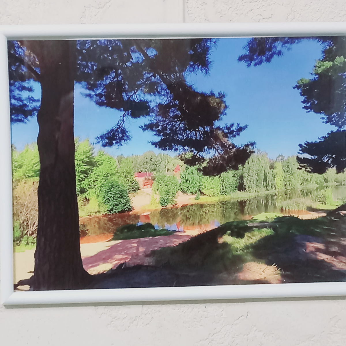 Картинки с выставки// фото автора 