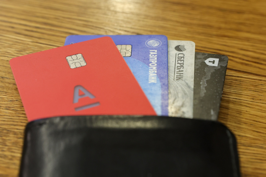    Наталья Шатохина/NEWS.ru