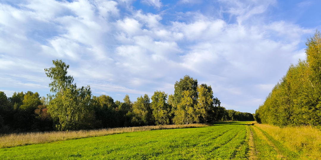 Грибной сезон 2025. Часть II