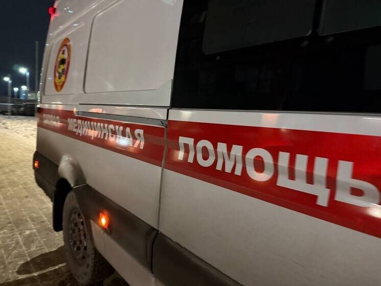     фото: архив мк в Мурманске.