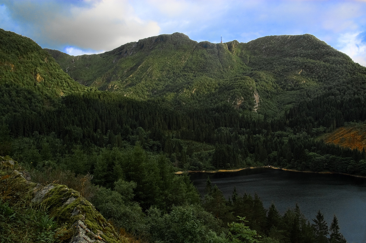 Место где нашли тело неизвестной.