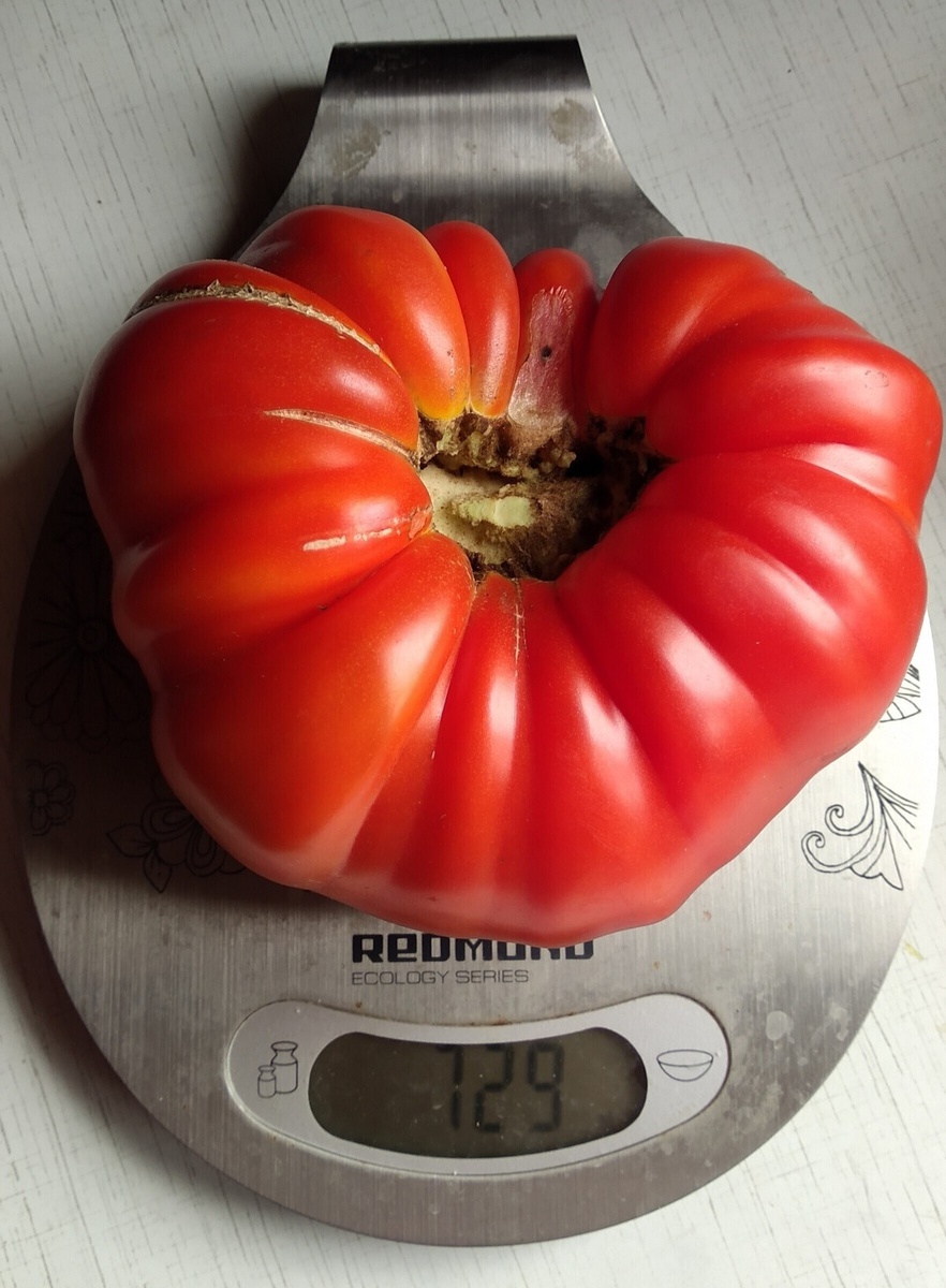 Безразмерный